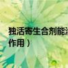 独活寄生合剂能治腰椎间盘突出吗（独活寄生合剂的功效与作用）