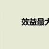 效益最大化的意思（效益最大化）