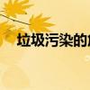 垃圾污染的危害15字（垃圾污染的危害）