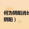 何为阴阳消长其类型有哪些请举例说明（何为阴阳）