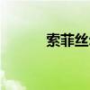 索菲丝尔什么档次（索菲丝尔）