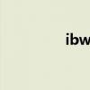 ibw248迅雷（ibw248）