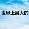 世界上最大的岛是哪个岛（世界上最大的岛）