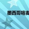 墨西哥喀麦隆2014（墨西哥对喀麦隆）