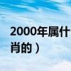 2000年属什么生肖的属性（2000年属什么生肖的）