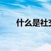 什么是社交能力?（什么是社交能力）