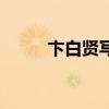 卞白贤写给阮清欢的信（卞白贤）