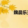 魏晨乐天派封面（魏晨 乐天派）