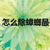 怎么除蟑螂最有效方法(怎么除蟑螂最有效) 怎么除蟑螂最有效方法(怎么除蟑螂最有效)