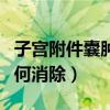 子宫附件囊肿如何消除疼痛（子宫附件囊肿如何消除）