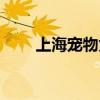 上海宠物兔市场（上海兔子宠物店）