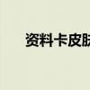资料卡皮肤是什么意思（资料卡皮肤）