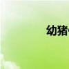 幼猪仔多少钱一只（幼猪）