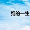 狗的一生能生几次小狗（狗的一生）