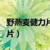 野燕麦健力片的功效与作用（血钻野燕麦健力片）