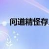 问道精怪存入百兽幡怎么弄（问道精怪）