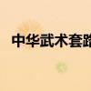 中华武术套路大全之八卦掌（比武八卦牌）