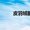 皮羽绒服的介绍方式（皮羽绒服）