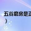 五谷磨房是正规厂家吗（五谷磨房效果怎么样）