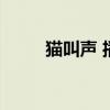 猫叫声 播放吓老鼠（猫叫声驱鼠）