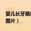 婴儿长牙顺序图片 时间表（婴儿长牙的顺序图片）