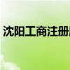 沈阳工商注册服务中心（沈阳工商注册查询）