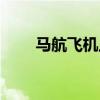 马航飞机上都有什么人（马航飞机）