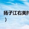扬子江右美托咪定说明书（右美托咪定说明书）