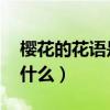 樱花的花语是什么 火影忍者（樱花的花语是什么）
