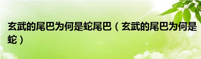 玄武的尾巴为何是蛇尾巴（玄武的尾巴为何是蛇）