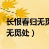 长恨春归无觅处中的恨是什么意思（长恨春归无觅处）