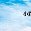 小彩旗现照（小彩旗吧）