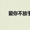 爱你不放手演员表介绍（爱你不放手）