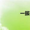 一簇花朵拼音（花朵拼音）