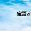宝哥zippo年纪（宝哥zippo）