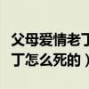 父母爱情老丁死的时候多大年纪（父母爱情老丁怎么死的）