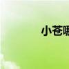 小苍哪去了（小苍优酷空间）