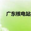 广东核电站招聘劳务工人（广东核电站）