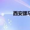 西安骡马市步行街(西安骡马市) 西安骡马市步行街(西安骡马市)