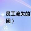 员工流失的7大原因分析（员工流失的7大原因）
