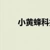小黄蜂科技有限公司(天宇小黄蜂) 小黄蜂科技有限公司(天宇小黄蜂)