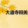 大道寺园美和木之本抚子（木之本抚子）