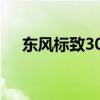 东风标致307cc敞篷（东风标致307cc）