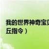 我的世界神奇宝贝皮卡丘技能搭配（我的世界神奇宝贝皮卡丘指令）
