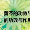 黄芩的功效与作用的功能与主治与用量（黄芹的功效与作用）