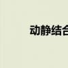 动静结合是什么手法（动静结合）