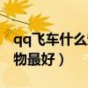 qq飞车什么宠物最好用端游（qq飞车什么宠物最好）