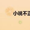 小说不正经喜欢（不正经的喜欢）