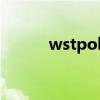 wstpolo拉杆箱（polo拉杆箱）