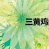 三黄鸡的功效与作用（三黄鸡）